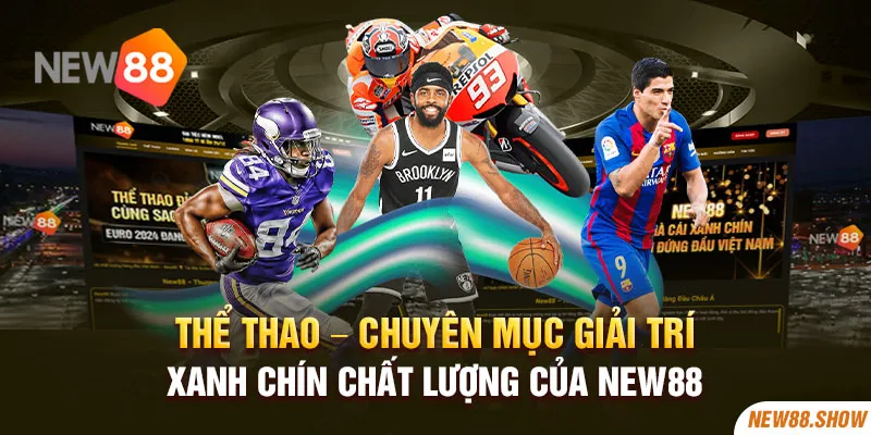 Thể thao – Chuyên mục giải trí xanh chín chất lượng của New88