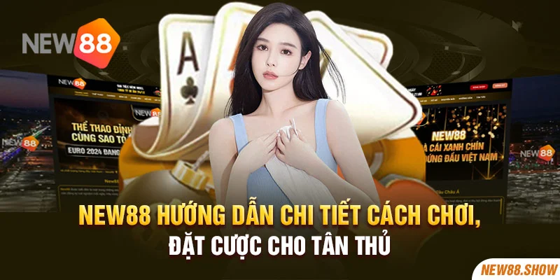 New88 hướng dẫn chi tiết cách chơi, đặt cược cho tân thủ